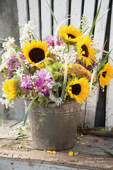 Floral Collection | Penny Lane Fine Art & Licensing