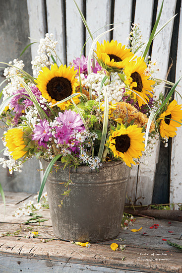 Irvin Hoover HOO110 - HOO110 - Bucket of Sunshine - 12x18 Flowers, Galvanized Bucket, Sunflowers, Photography from Penny Lane