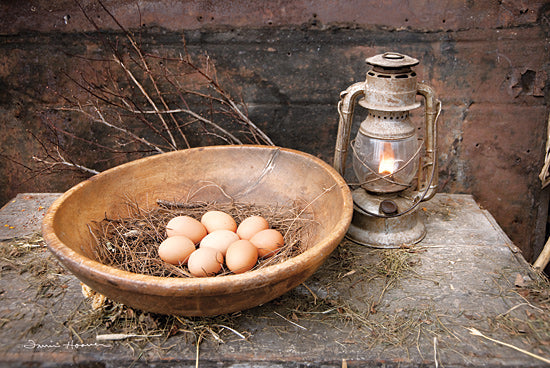 Irvin Hoover HOO120 - HOO120 - Egg Bowl - 18x12 Eggs, Bow, Wooden Bowl, Lantern, Rustic, Still Life from Penny Lane