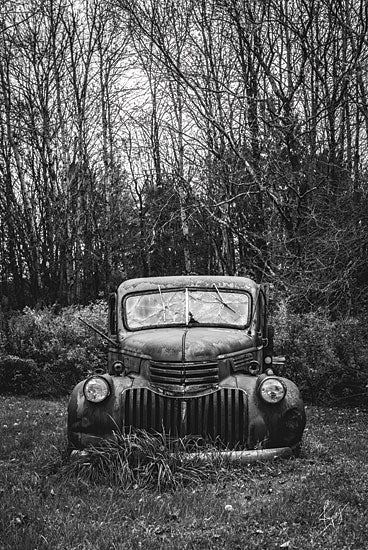Justin Spivey JDS204 - Bumper in Weeds - Car, Black & White, Field, Trees, Antiques from Penny Lane Publishing