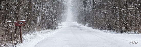 Justin Spivey JDS207 - Winter's Mail Road, Snow, Winter, Street, Path from Penny Lane