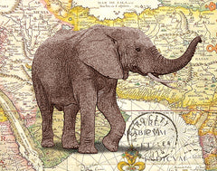 JGS172 - Elephant Trunk I - 16x12