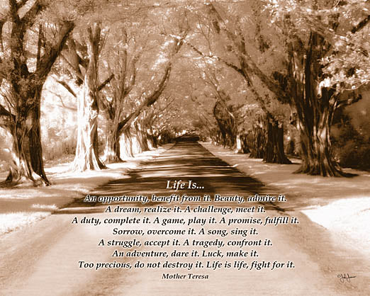John Jones JJ804 - Life Is... - Trees, Path, Mother Teresa, Inspiring from Penny Lane Publishing