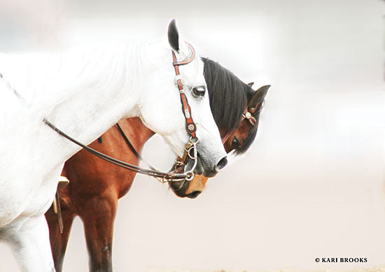 Kari Brooks KARI107 - Ying & Yang - 18x12 Photography, Horses, White and Brown Horses, Portrait from Penny Lane