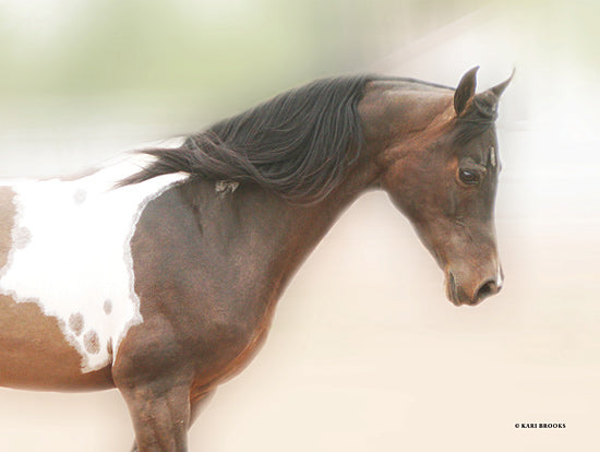 Kari Brooks KARI140 - KARI140 - Painted Beauty - 16x12 Photography, Horse, Portrait from Penny Lane