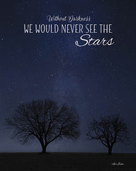 LD1106 - See the Stars - 12x16