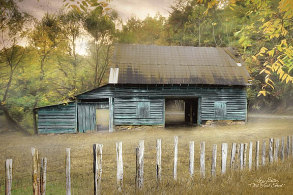 Lori Deiter LD1148 - Old Teal Shed - Shed, Fence, Posts, Field, Farm from Penny Lane Publishing