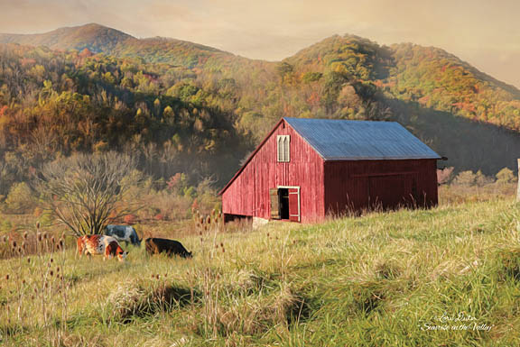 Lori Deiter LD1152 - Sunrise in the Valley - Barn, Cows, Valley, Grazing, Meadow from Penny Lane Publishing
