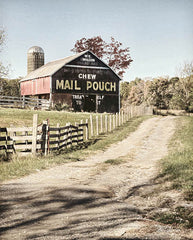 LD1174 - Mail Pouch Lane - 12x16