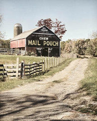 LD1174GP - Mail Pouch Lane