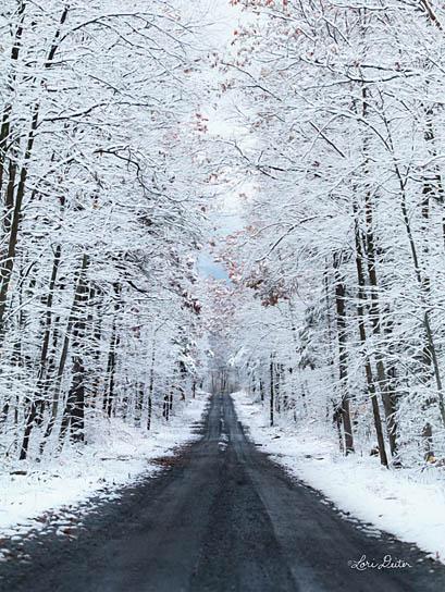 Lori Deiter LD1176 - All Roads Lead Home - Snow, Road, Trees, Black & White from Penny Lane Publishing