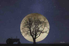 LD1189 - Full Moon Country Night - 18x12