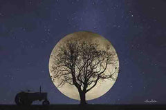 LD1189GP - Full Moon Country Night