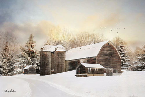 Lori Deiter LD1198 - The Color of Winter - Barn, Snow, Winter, Farm, Pine Trees from Penny Lane Publishing