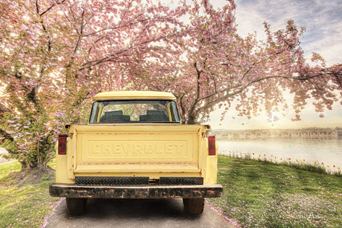 Lori Deiter LD1200 - Spring's Embrace - Chevrolet Truck, Truck Bed, Flowering Pink Trees, Road from Penny Lane Publishing