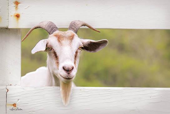 Lori Deiter LD1226 - Goat at Fence - Goat, Fence, Baby from Penny Lane Publishing