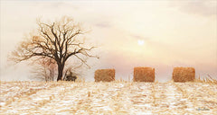 LD1242 - Winter Fields - 18x9