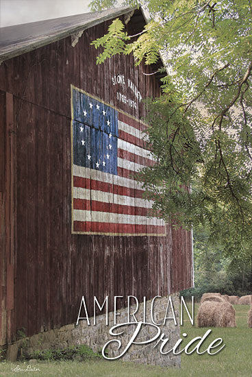 Lori Deiter LD1256 - American Pride - American Flag, Barn, America, Farm, Vintage from Penny Lane Publishing