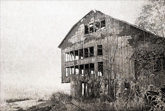 Lori Deiter LD1271 - Mahantongo Barn Barn, Farm, Black & White, Rustic from Penny Lane