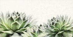 LD1276 - Soft Succulents I - 18x9