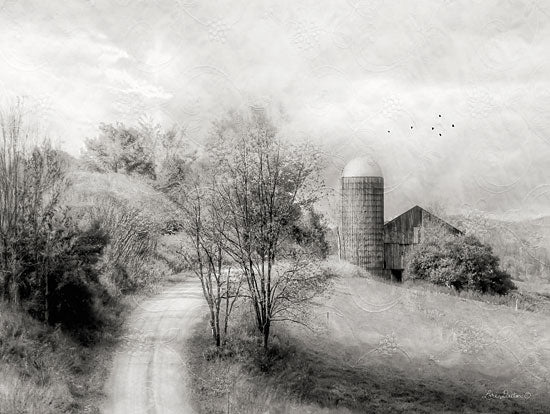 Lori Deiter LD1285 - Upstate Farm, Country Road, Silo, Black & White, Path from Penny Lane