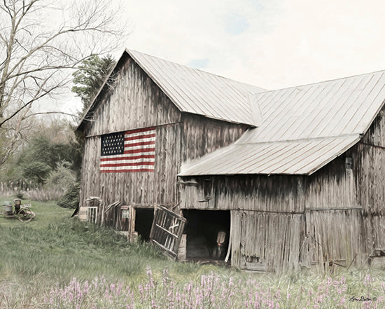 Lori Deiter LD1288 - The American Farmer Barn, Farm, American Flag, Rustic from Penny Lane