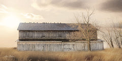 LD1366 - Sundown at the Barn - 18x9