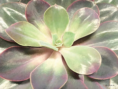 LD1368 - Glowing Succulent I - 16x12