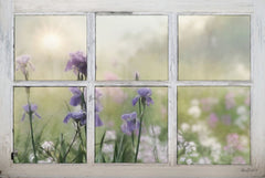 LD1377 - Framed Flowers - 18x12