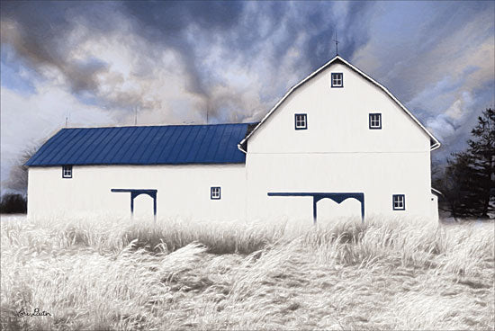 Lori Deiter LD1392 - Blue Trimmed Barn Barn, Modern, Farm, Blue & White from Penny Lane