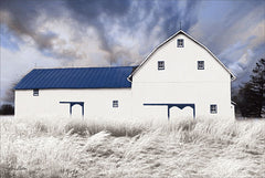 LD1392 - Blue Trimmed Barn - 18x12