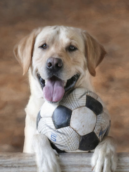 Lori Deiter LD1404 - Playtime Dog, Soccer, Soccer Ball, Portrait, Photo  from Penny Lane
