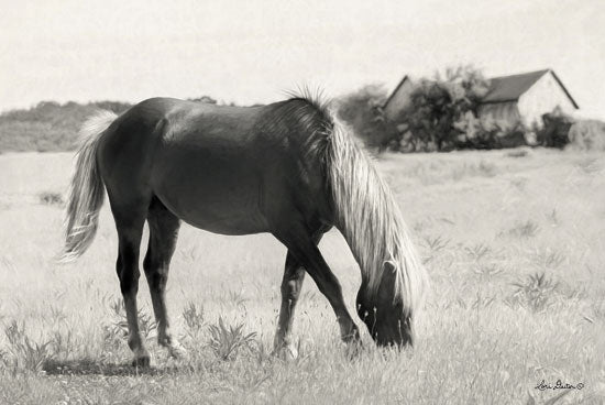 Lori Deiter LD1410 - Summer Grazing Horse, Field, Grazing, Black & White from Penny Lane
