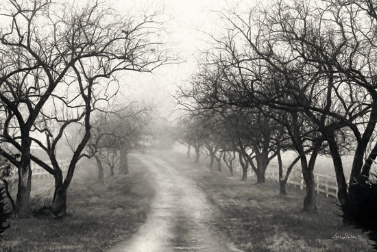 Lori Deiter LD1412 - Foggy Lane Road, Path, Trees, Foggy, Weather, Black & White from Penny Lane