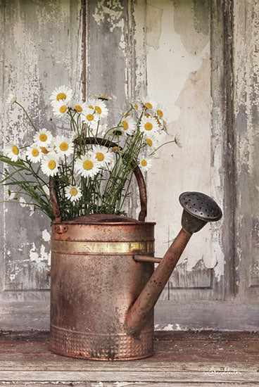 Lori Deiter LD1427 - The Friendliest Flowers Watering Can, Copper, Antique, Garden, Daisies from Penny Lane