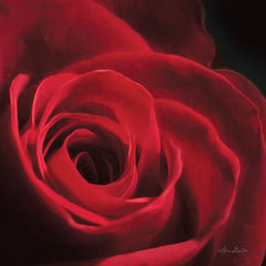 LD1439 - The Red Rose I - 12x12