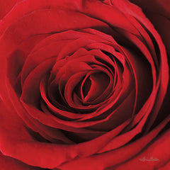 LD1440 - The Red Rose II - 12x12