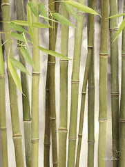LD1445 - Backlit Bamboo II - 12x16