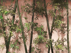 LD1446 - Bamboo on Blush - 16x12