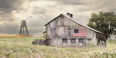 LD1540 - Rural Virginia Barn - 18x9