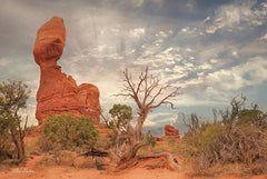 LD1550 - Arches National Park II - 18x12