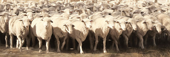 Lori Deiter LD1554 - Sheep Herding - 18x6 Sheep, Herding, Sunlight, Farm from Penny Lane