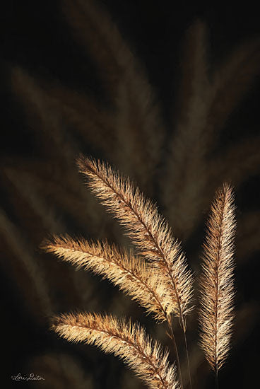 Lori Deiter LD1598 - Golden Grass I - 12x18 Gold Grass, Wheat, Portrait from Penny Lane