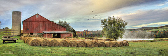 Lori Deiter LD1653 - Tioga Hay Bales - 18x6 Farm, Barn, Hay Bales, Landscape, Wagon from Penny Lane