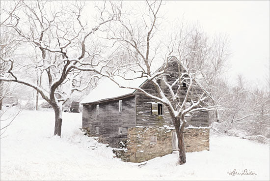 Lori Deiter LD1698GP - Bare and Cold Farm, Barn, Winter, Snow, Photography from Penny Lane