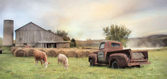 LD1718 - Tioga Country Farmland    - 18x9