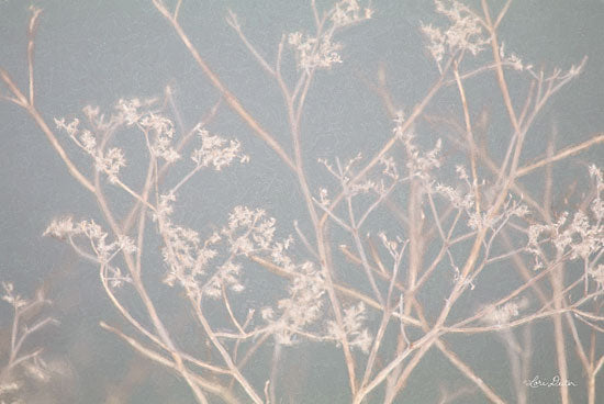 Lori Deiter LD1787 - LD1787 - Dormant Beauty - 18x12 Photography, Bush, Neutral Palette from Penny Lane