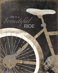 MA1020 - Life is a Beautiful Ride - 16x20