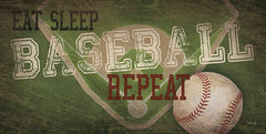 MA2125A - Eat, Sleep, Baseball, Repeat - 18x9