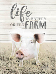 MA2360 - Life is Better on the Farm Pig - 12x16